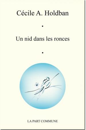 Un nid dans les ronces