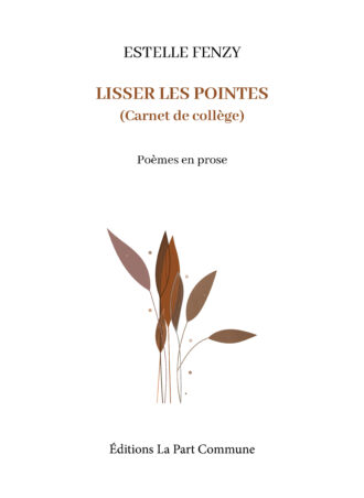 Lisser les pointes (Carnet de collège)
