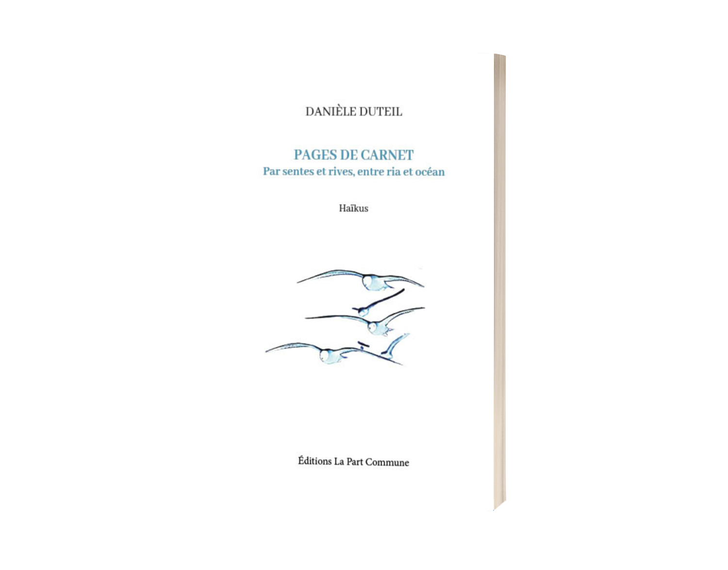 Pages de carnet – Par sentes et rives, entre ria et océan – Haïkus